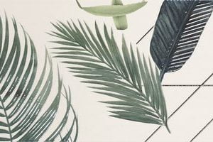 CINARTIS DECOR KAVA 2 20x50