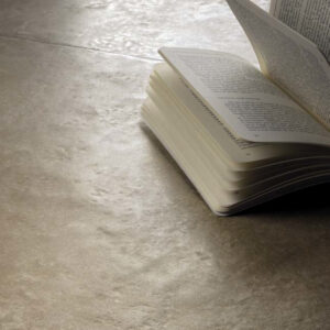 Alternative view of PIERRE de GENLAY Opus